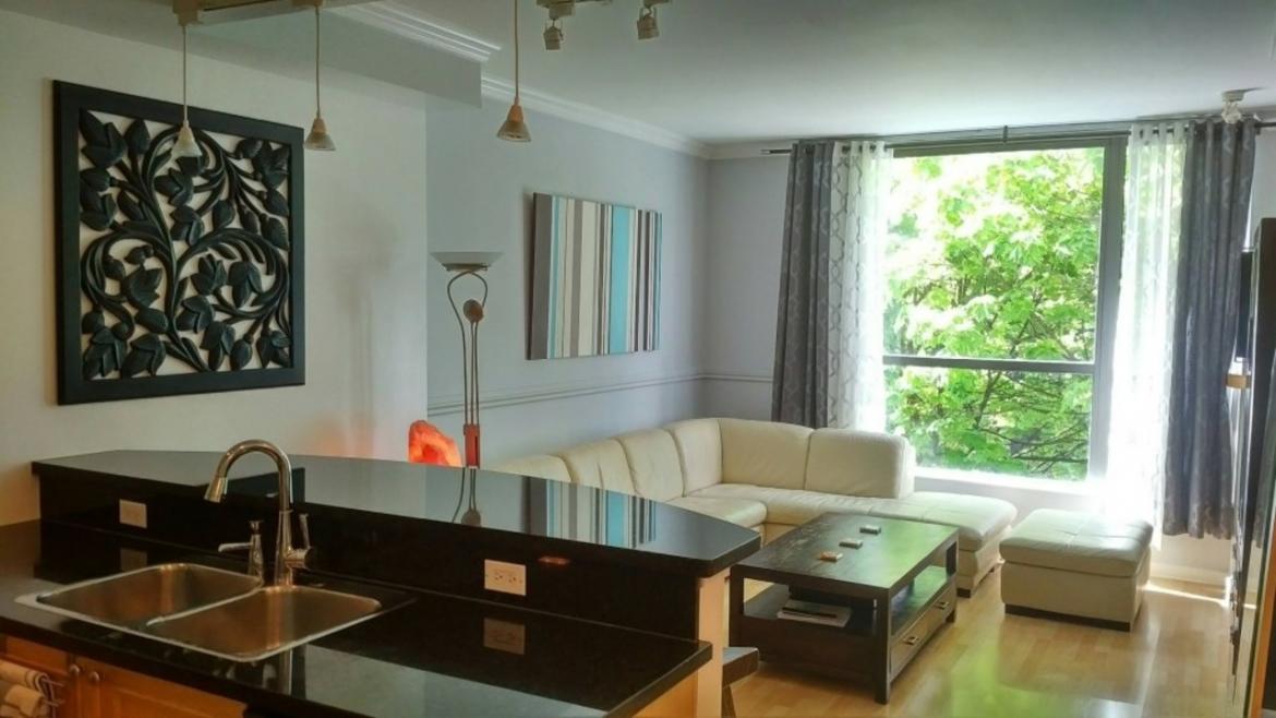 308 - 928 RICHARDS STREET Yaletown Condos for Sale